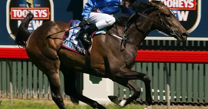 Three-time Melbourne Cup-winning horse Makybe Diva dies at 26
