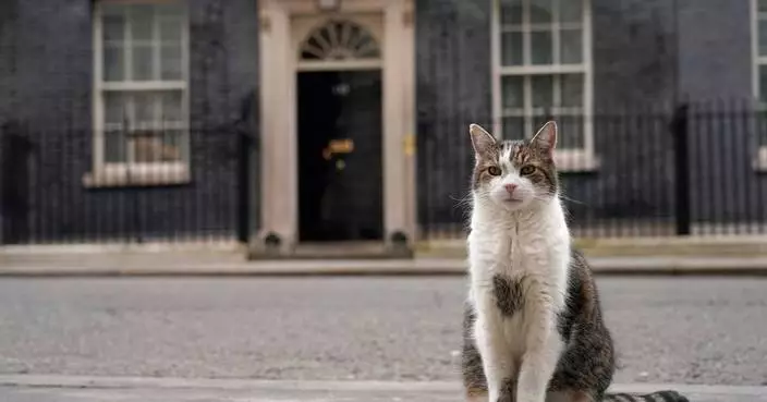 Larry the cat, Britain’s Chief Mouser at 10 Downing Street for 15 years, in photos