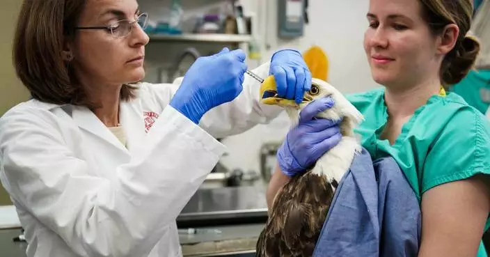 Avangrid Foundation Provides $3.1 Million to Support Over 70 Community Organizations in 2025