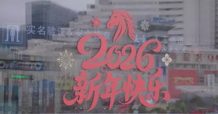 Chinese rolls out measures to ensure smooth Spring Festival travel rush