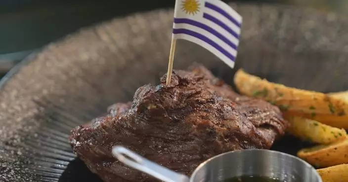 Uruguay bolsters strategic, economic partnership with China: observers