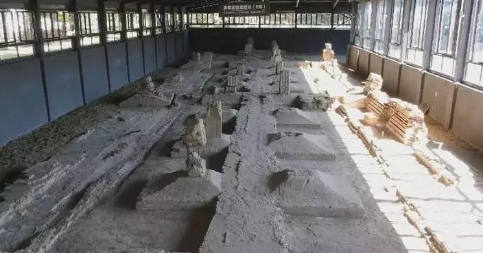 Video evidence adds details of Japan’s germ-warfare crimes in China