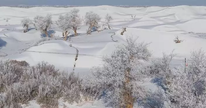 Inner Mongolia’s Gobi Desert turns into winter wonderland with rime-coated trees
