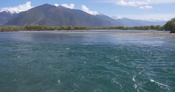 Xi's ecological vision guides China's progress in wetland conservation