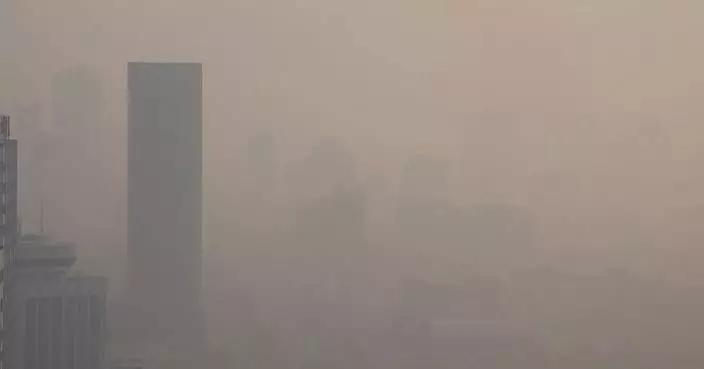 Dense fog disrupts traffic in Shandong