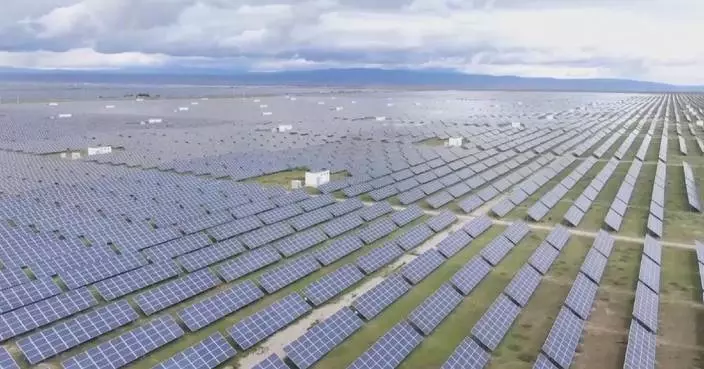 New energy meets over 97 pct of China's incremental power demand in 2025