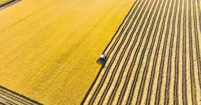 China outlines four key tasks, two supporting guarantees in 2026 top rural policy: official