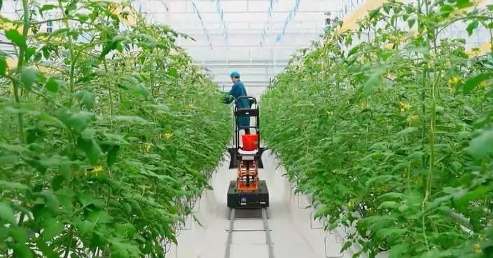 China’s No. 1 central document for 2026 offers guidance for modern agricultural development: official