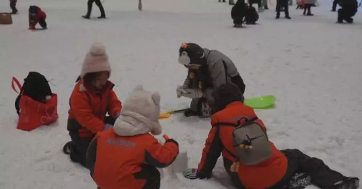 Ice, snow fun draws crowds to Shanghai snow world