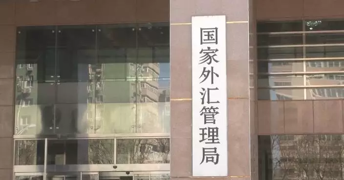 China’s forex reserves rise in January