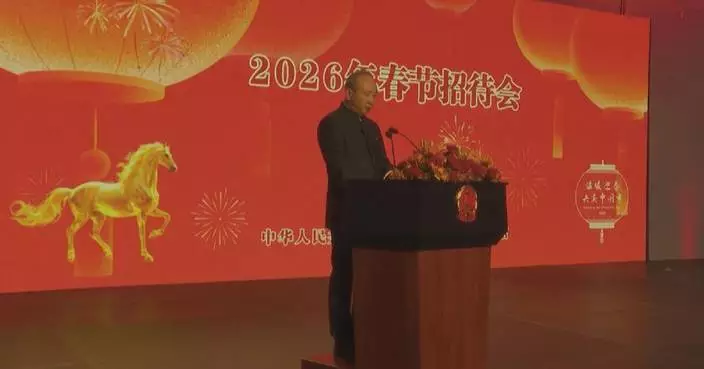 China embassies in Brazil, Argentina hold Spring Festival receptions