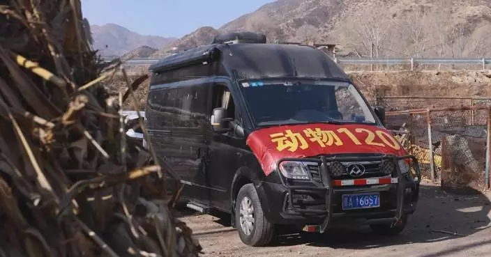 Veterinary science teacher runs free ‘animal ambulance’ to treat livestock in Shanxi
