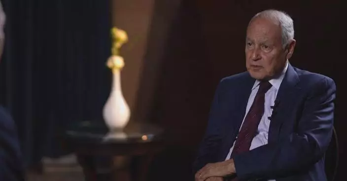 Arab League committed to non-alignment since founding: chief