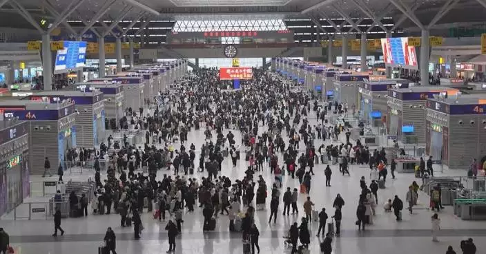 220 mln trips on Day 6 of Spring Festival travel rush