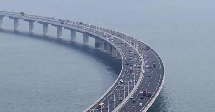 Shenzhen-Zhongshan Link in Guangdong gears up for surging Spring Festival travel