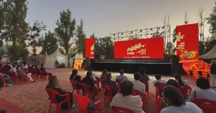 Lantern carnivals, gala promos bring Spring Festival spirit to Southern Hemisphere