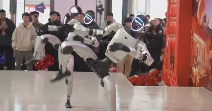 Robot fair kicks off in east China city for upcoming Spring Festival