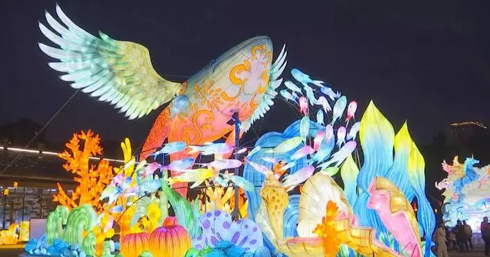 Mawei-Matsu Lantern Festival opens in east China, honoring cross-Strait cultural heritage