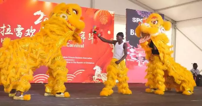 Celebration held in Zimbabwe for Chinese New Year