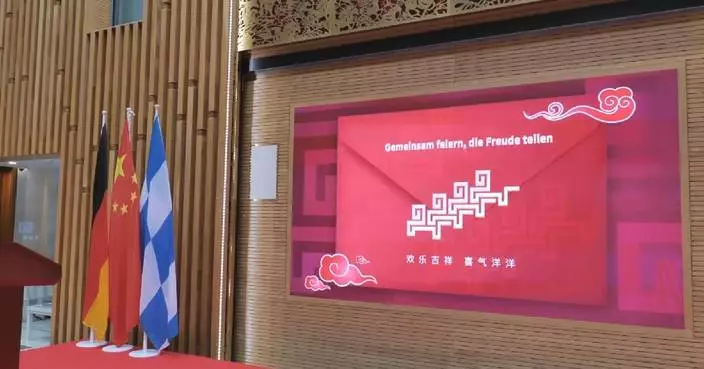 Chinese embassy, consulate in Germany hold Spring Festival receptions