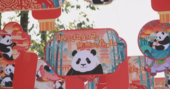 Visitors flock to Chengdu panda base amid Spring Festival holiday