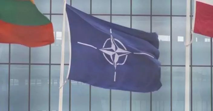 U.S. defense official calls for “NATO 3.0”