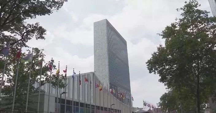 UN appoints members to independent int’l scientific panel on AI,  2 Chinese scientists selected