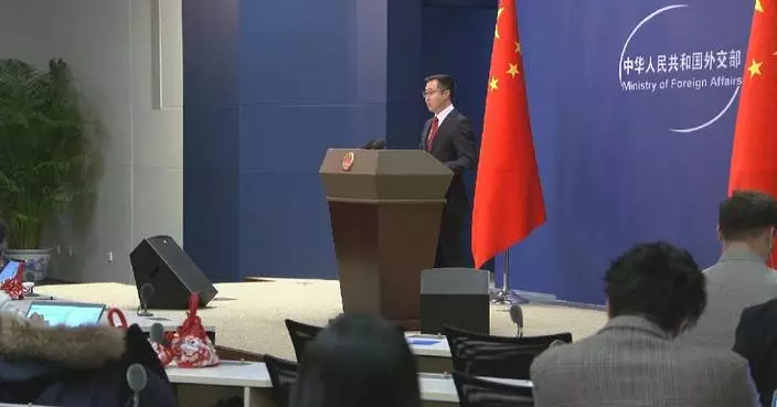 FM spokesman wishes overseas Chinese happiness, auspiciousness in Year of Horse