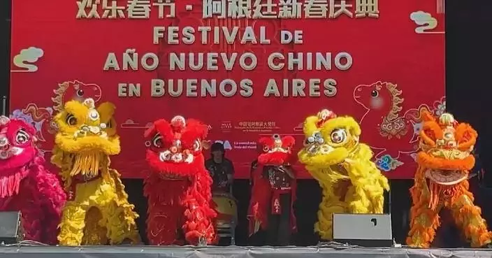 Spring Festival celebrations held in many countries to boost cultural exchange