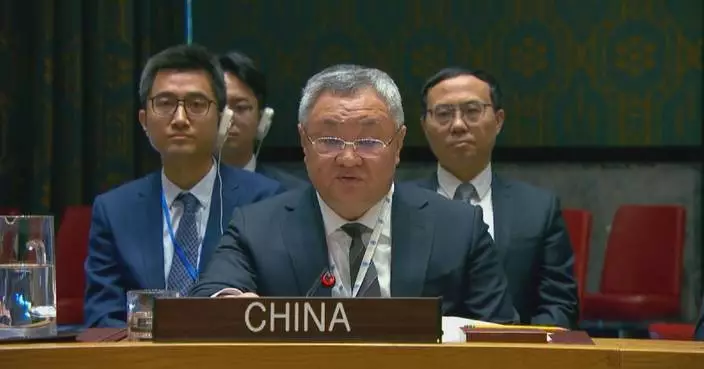 Chinese envoy urges political process, humanitarian aid in Syria