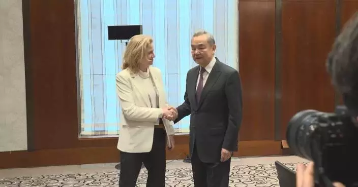 China willing to strengthen cooperation with Austria: FM