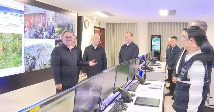 Chinese premier stresses safety in key sectors, services for Spring Festival travel rush