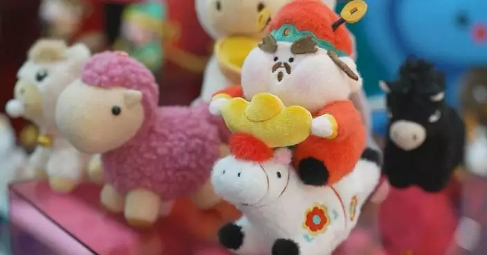 Young Chinese consumers add emotional value to Spring Festival shopping