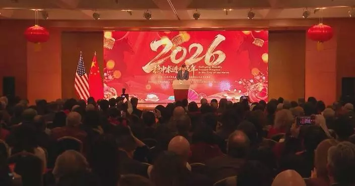 Chinese embassies, consulate general host 2026 Spring Festival receptions