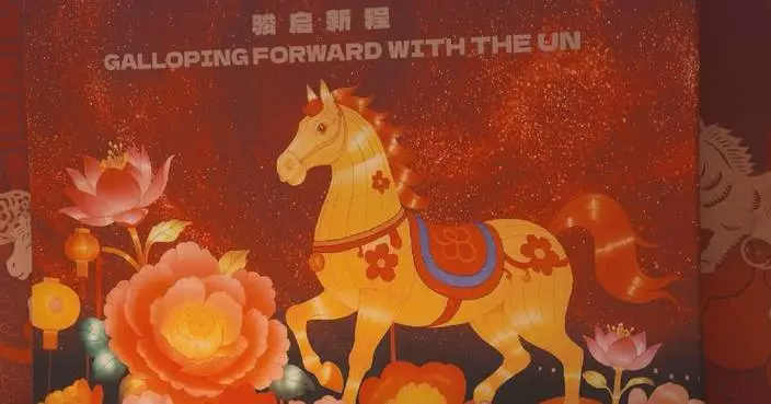 Chinese Mission to UN holds Spring Festival celebration in New York