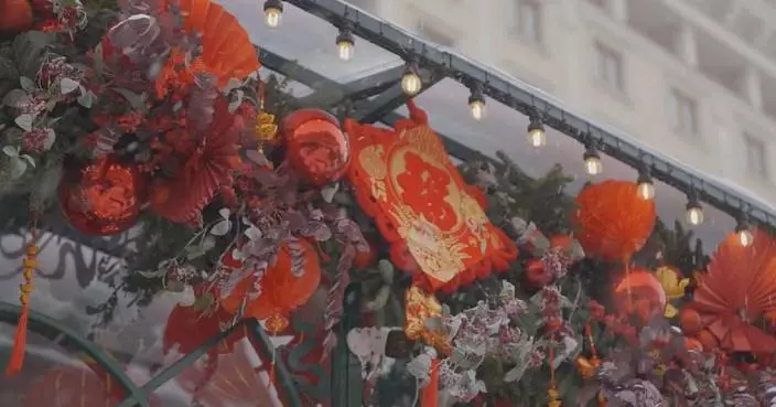 Festive cheer sweeps across countries for Chinese New Year
