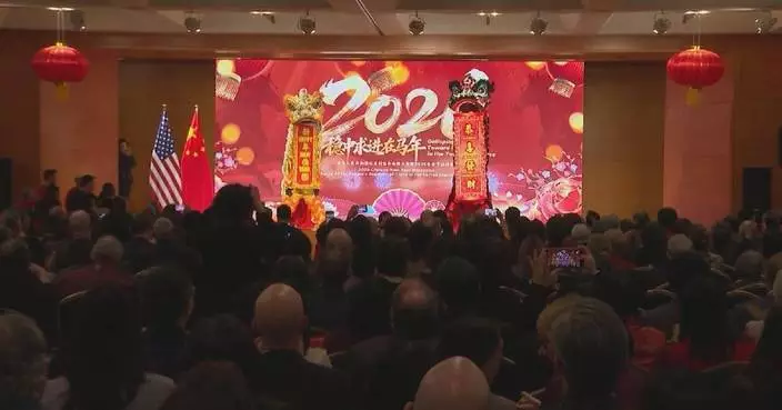 Chinese diplomatic missions, UN office hold receptions to celebrate Spring Festival