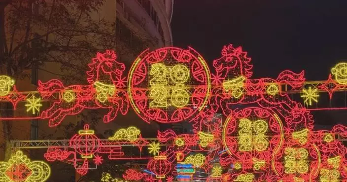 Celebrations held across globe to mark Chinese Spring Festival
