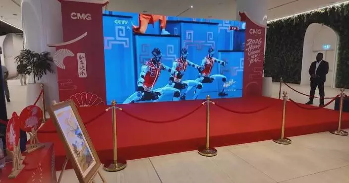 Robot martial arts performance at CMG Spring Festival Gala wows UAE audience