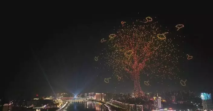 Spectators dazzled by festive light shows across China