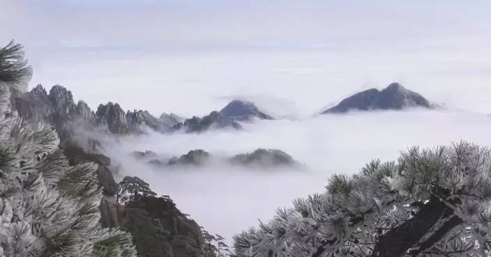 Rime ice transforms China’s renowned Huangshan Mountain into shimmering fairyland