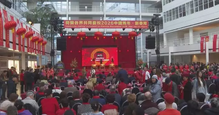 Cultural events held in multiple parts of world to mark Chinese New Year