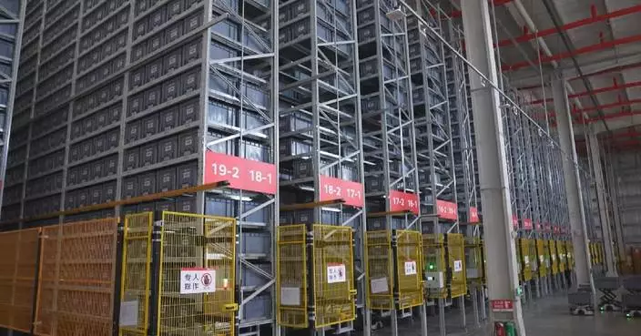 AI-powered major logistics center in Beijing redefines efficiency in Chinese New Year goods delivery