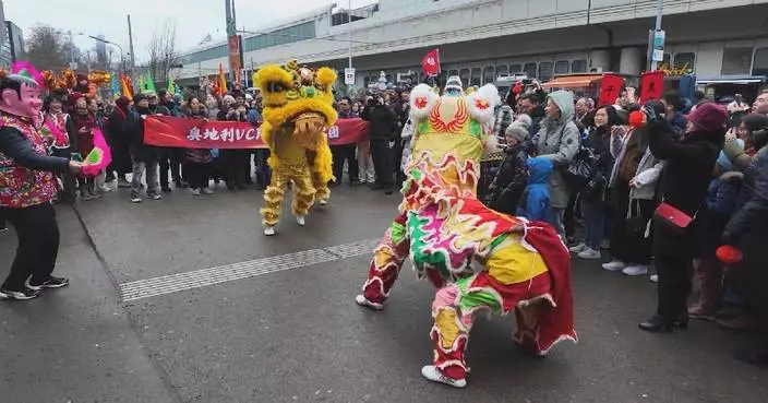 Vienna marks Chinese New Year with parade as Chinese tourists grow