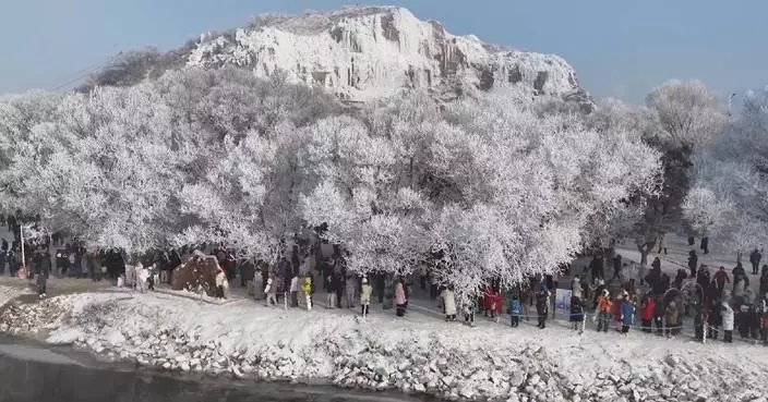 Winter rime adds sparkle to Chinese New Year festivities in northeast China city