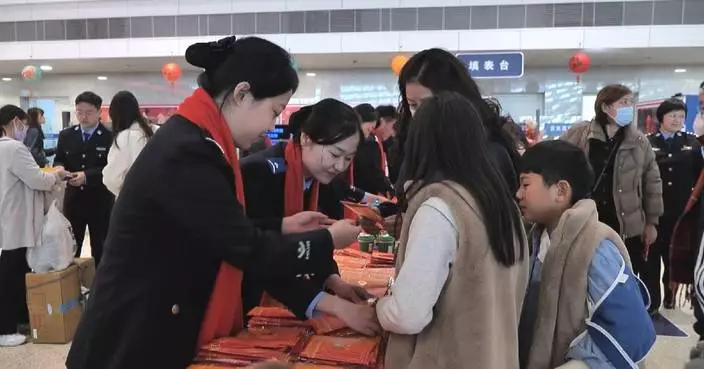 Surname campaign rolled out at Chinese transport hubs during Spring Festival rush