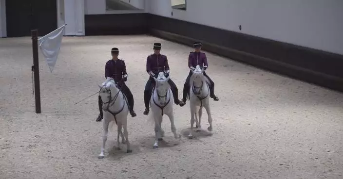 Abu Dhabi celebrates Year of Horse with equestrian events