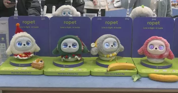 Companion robots enjoy surging popularity in China