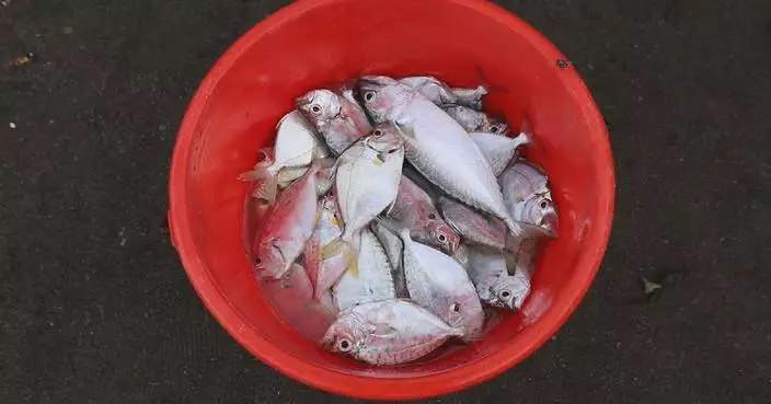 Philippine fisheries in crisis as declining catches threaten food security, coastal livelihoods