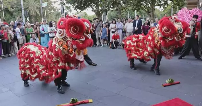 Themed activities held across world to celebrate Chinese New Year